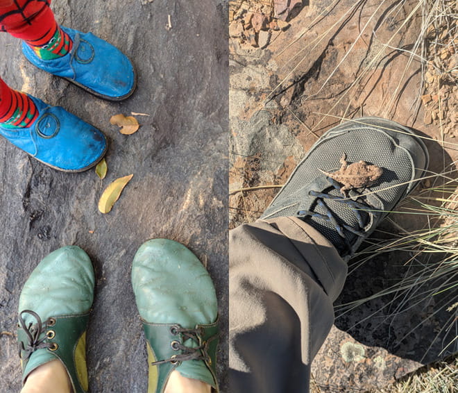 Monthly Fan Photo Winners