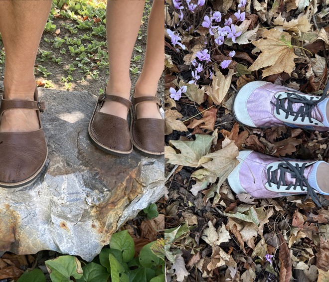 Monthly Fan Photo Winners