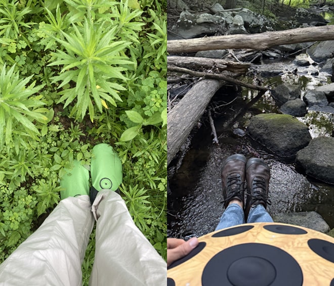 Monthly Fan Photo Winners