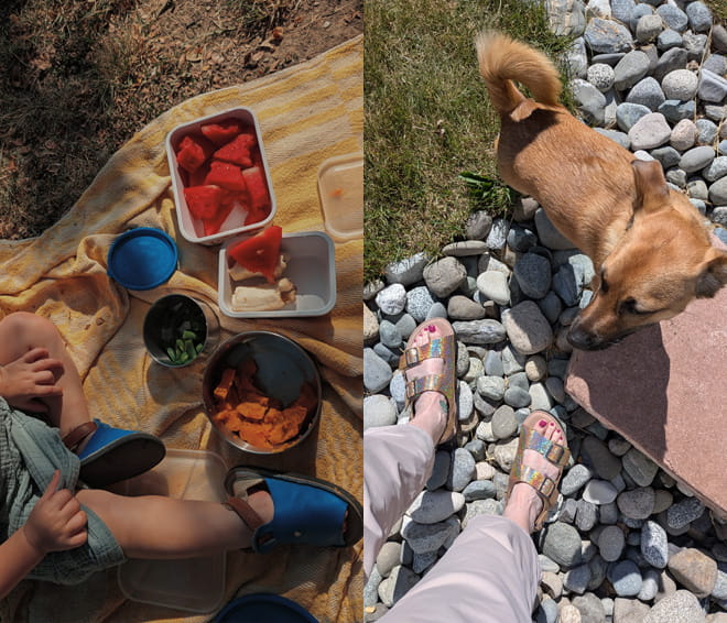 Monthly Fan Photo Winners
