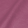 SUBLIME Rhubarb Leather SUBLIME Rhubarb