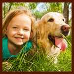 Happy National Pet Day! Can You Guess Which Pets Belong to Our Elves?