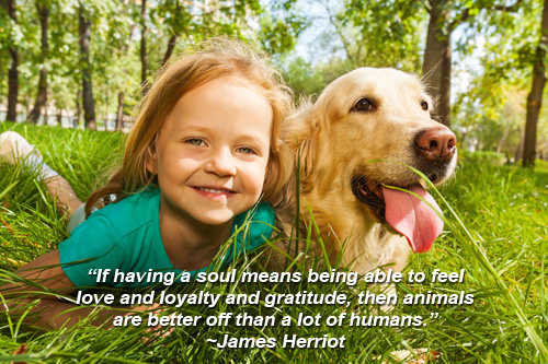 Little blond girl with her retriever dog