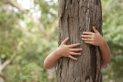 Tree Hugging memory-tree