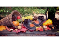 Pumpkin Shoes for Harvest Season