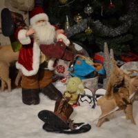 “For Christmas, Softstar Shoes, I want.” –Yoda