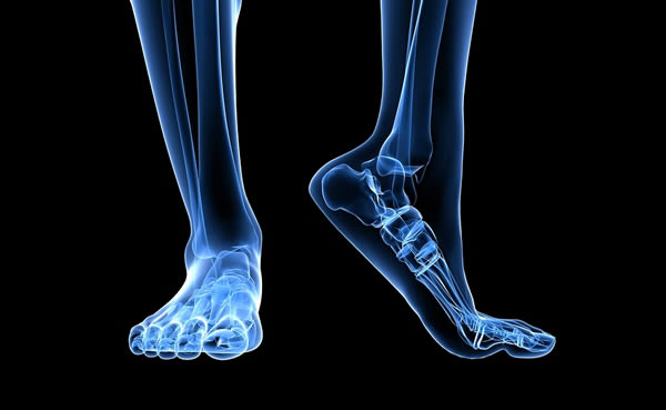 x-ray-foot-legs