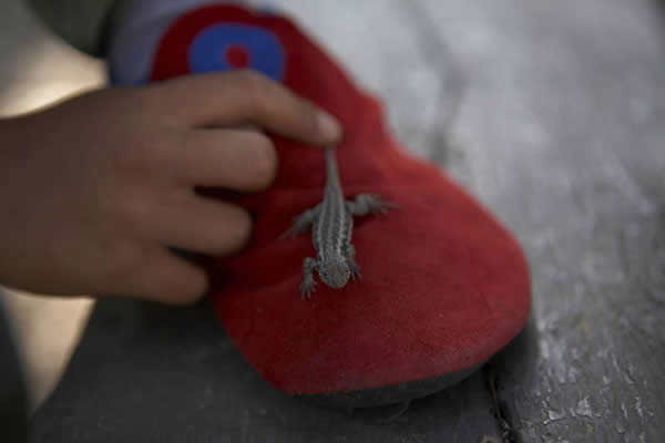 Biology taught by Mother Nature