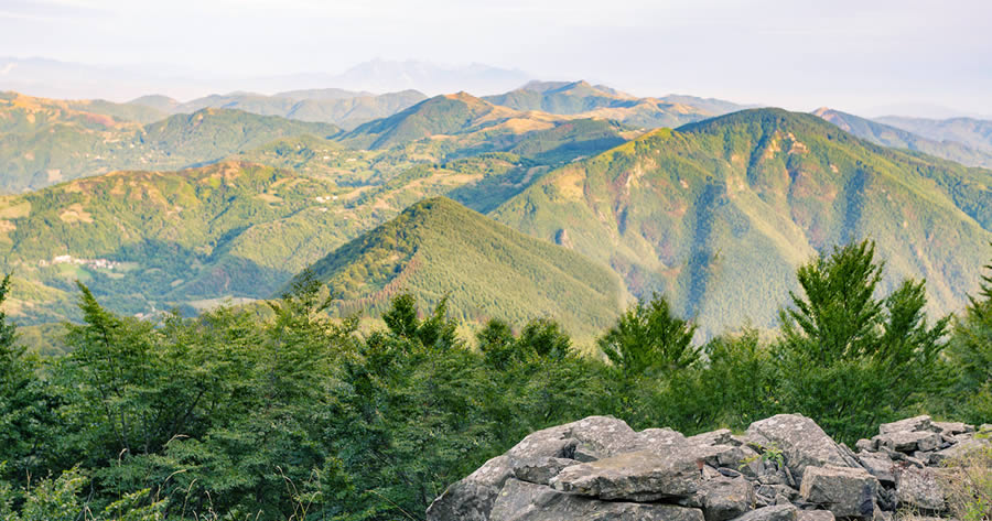 Softstar Celebrates Earth Day