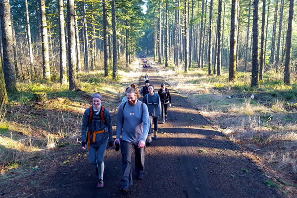 Hiking Through MacDonald Forest