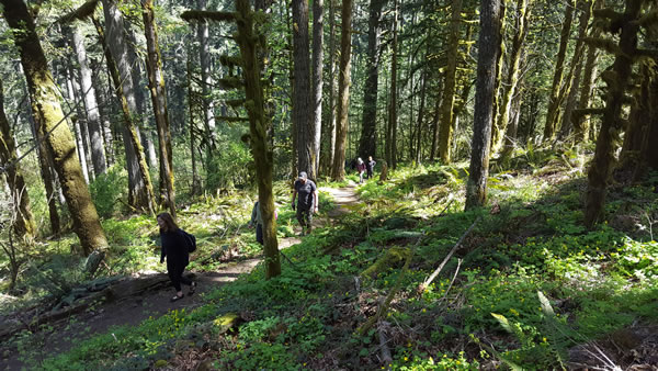katy-bowman-hike
