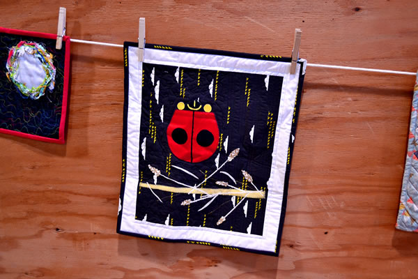 2019 Quilt County at Softstar