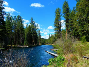 Metolius River